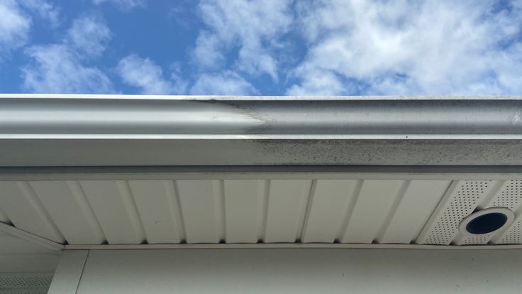 Fence & Gutter Brightening